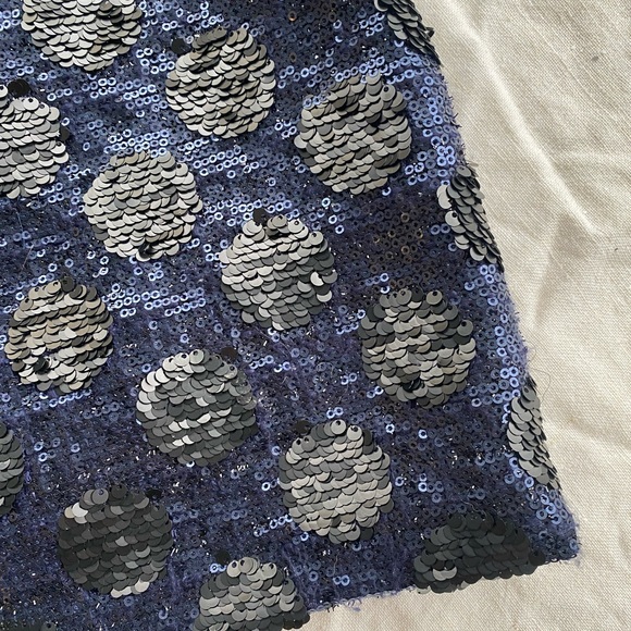 Madewell Broadway&Broome polkadot, sequin skirt - Picture 2 of 5